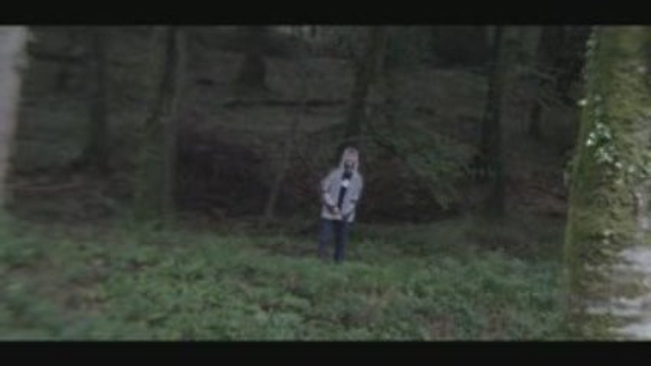 Kangourou des forêts