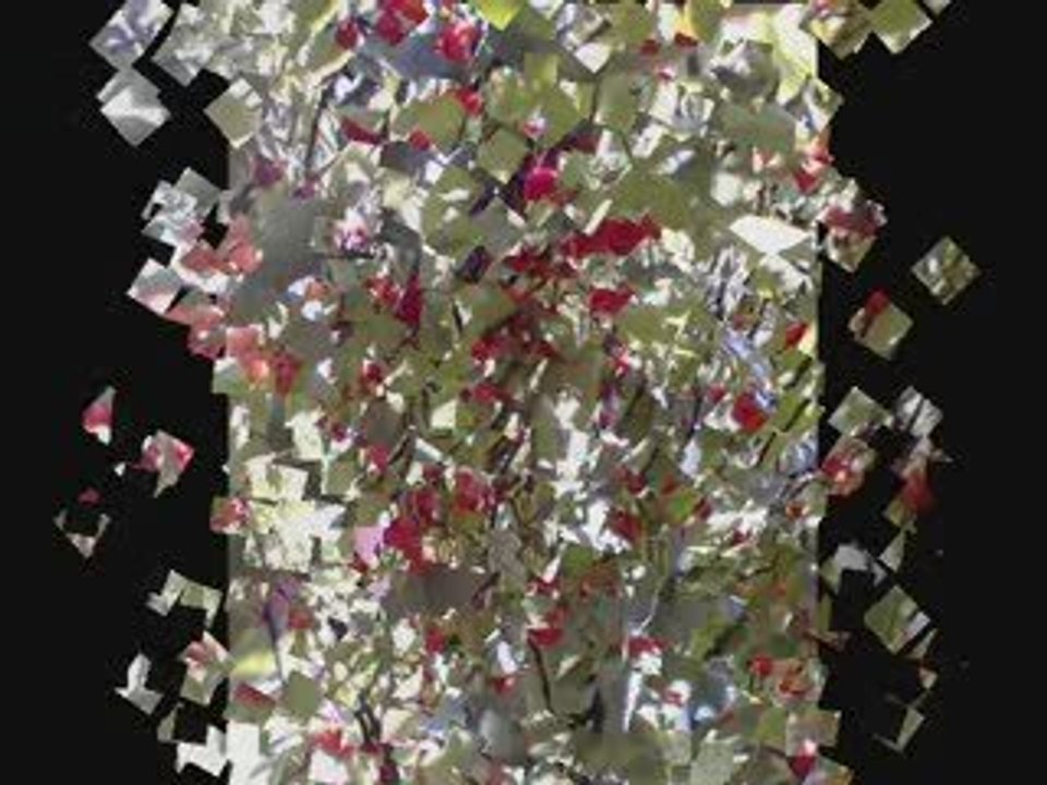 betul hazırladığı slayt