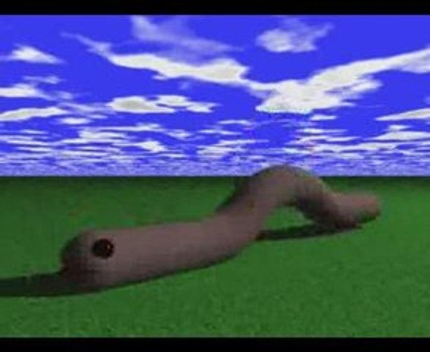 Wormy