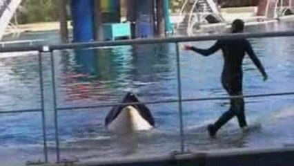 MarineLand