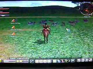 metin2 video pour montrer le jeu