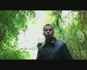 Soundkail Fleur Tropicale