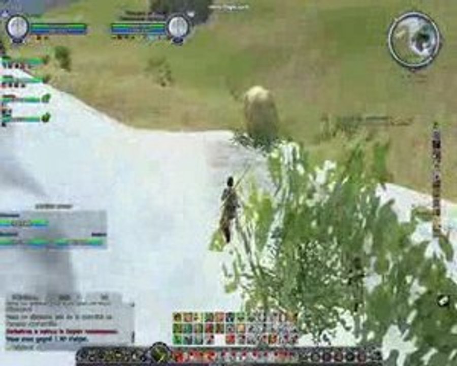 PVP sirannon - cache cache