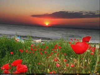 There's Nothing Too Good For My Baby-Eddie Kirkeby