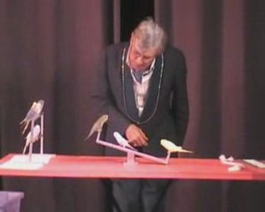 Perruches Magiques au camping ARMORIQUE_0001