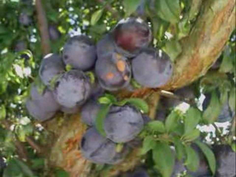 Portugal 2009 en famille