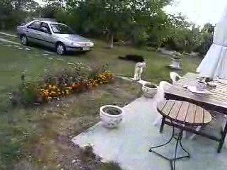 Europ'vidéo