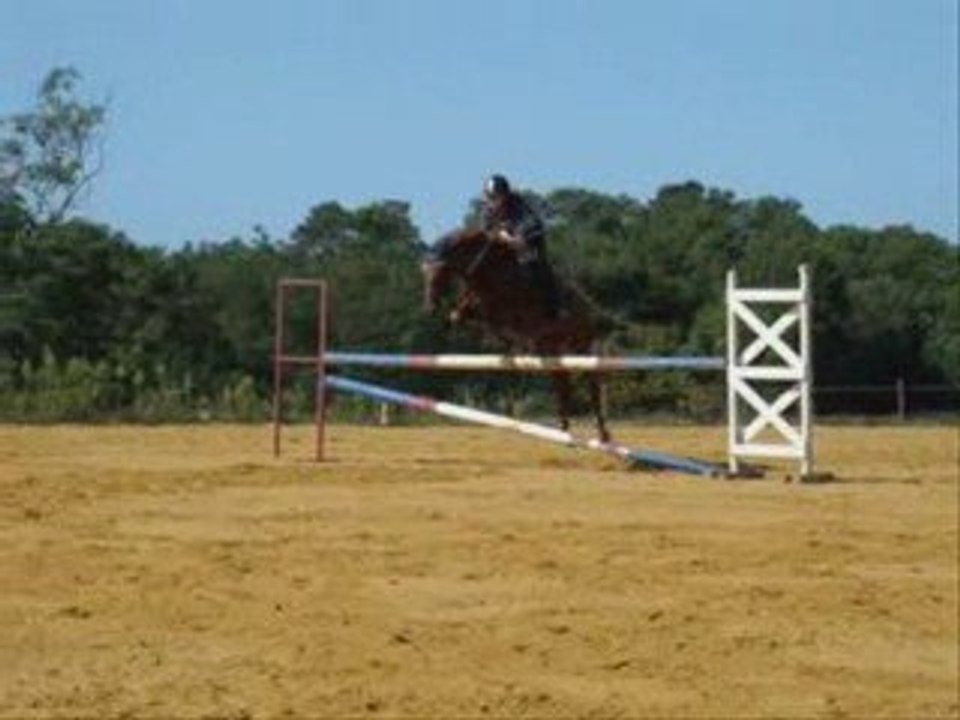 Balade & séance obstacles le 2 et le 5 sept'