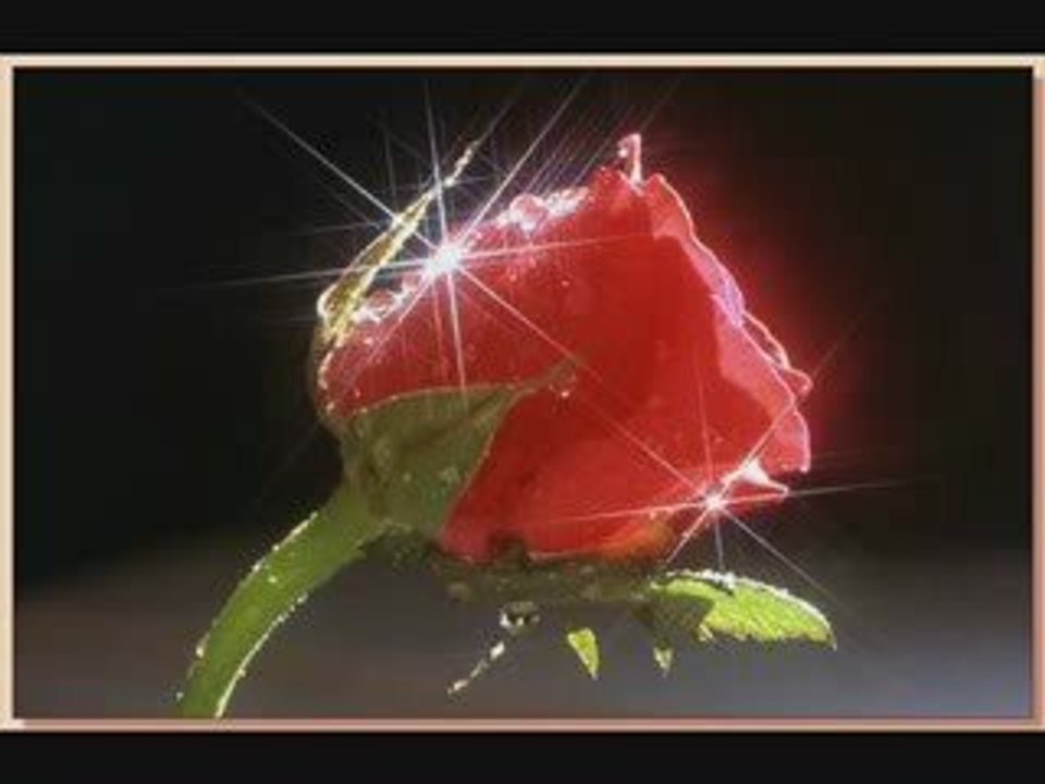 kenan dayı vay gülüm