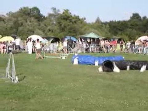23/08/2009 Concours d'Agility