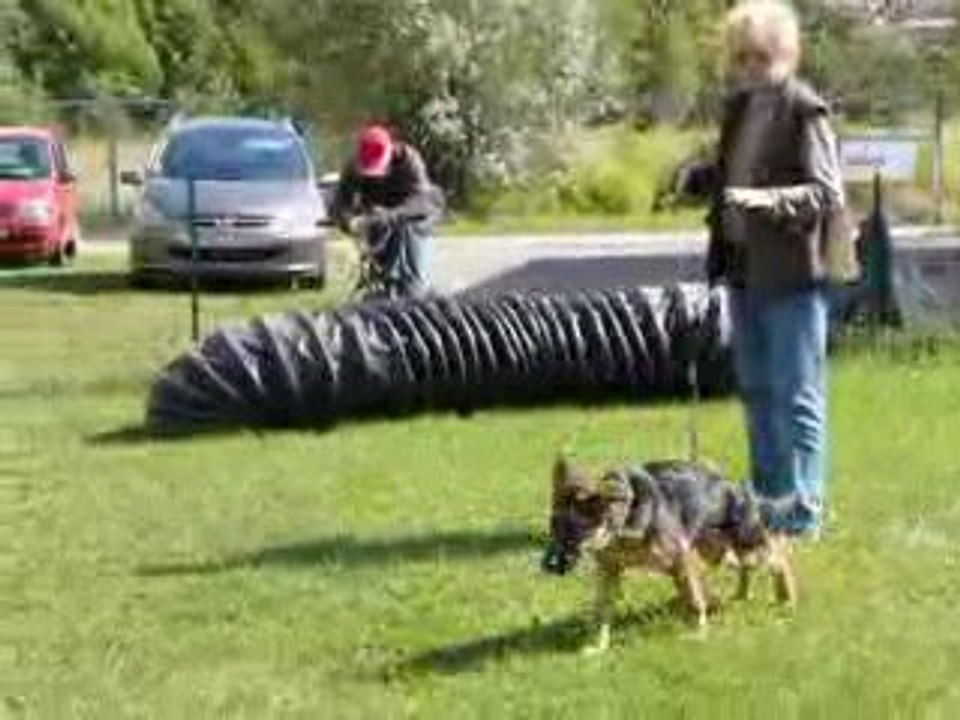 2009/09/05 (5) Ecole du Chiot