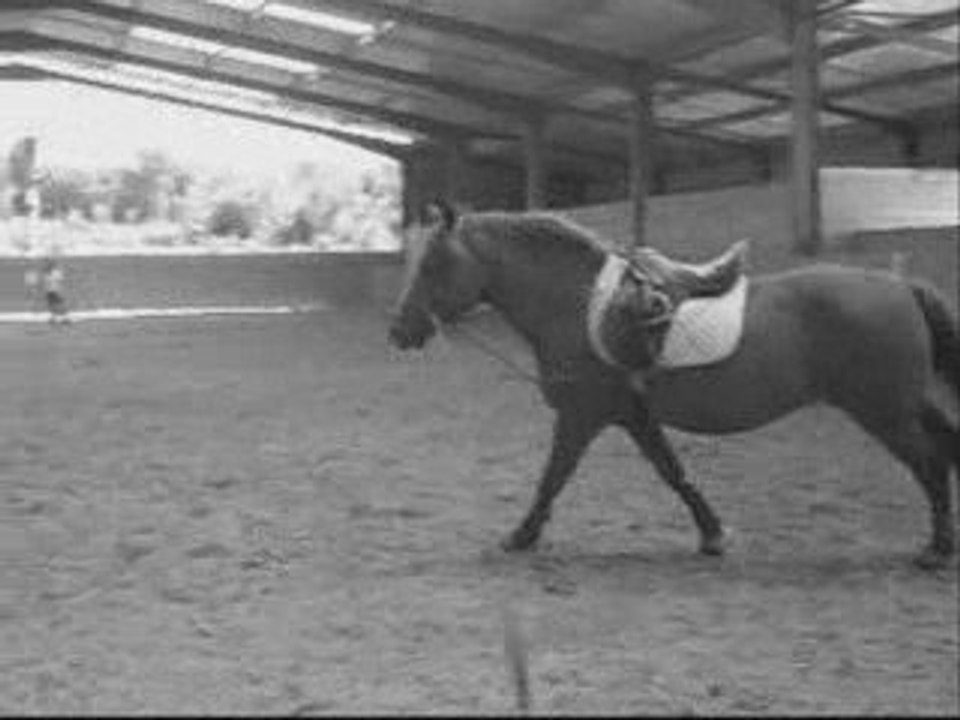 Je veux juste une derniere danse