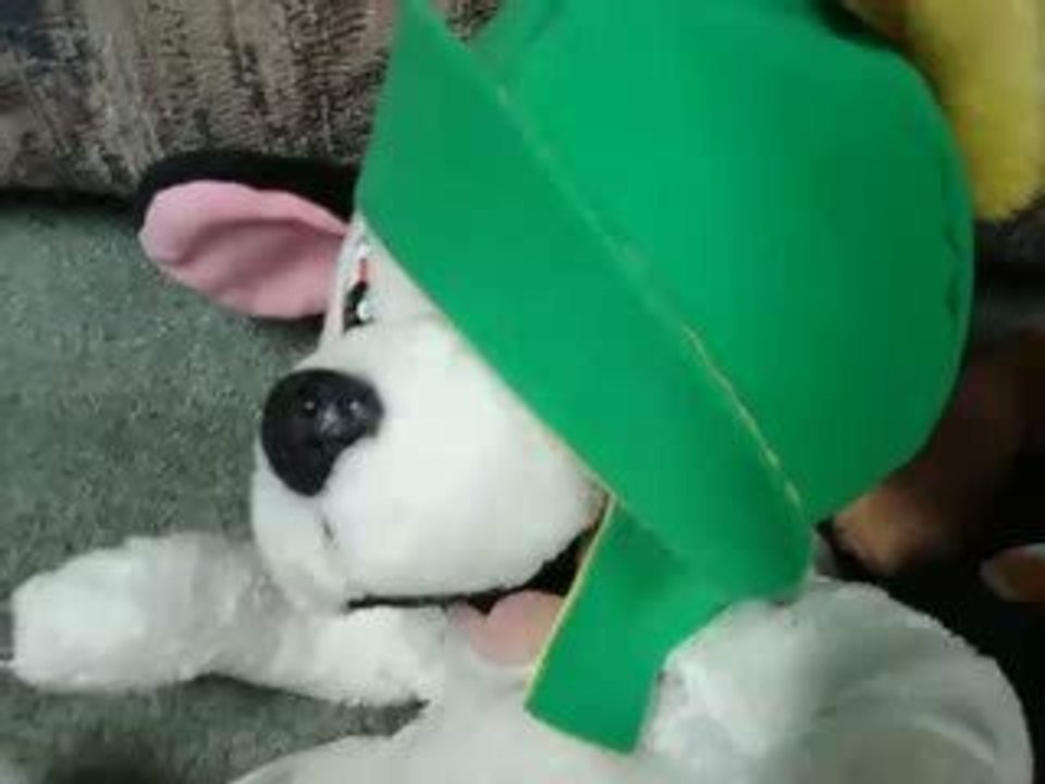 La vie plate d'un chien 5