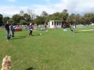 20090905 (1) Ecole du Chiot