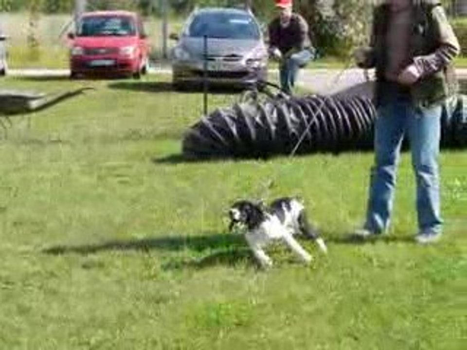 2009/09/05 (6) Ecole du Chiot