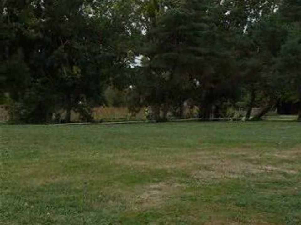 démonstration Alain Bareau