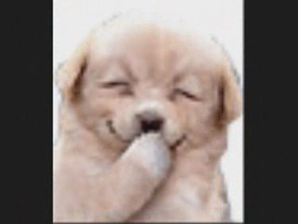 film gifs animés avec Movie maker