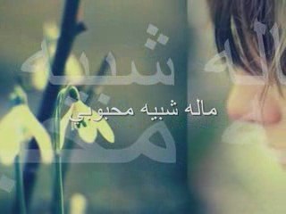 الشيمه من كلمات الشاعر عمر بن سعيد الشامسي