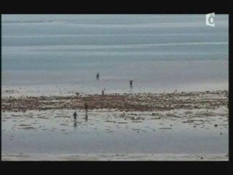 Comores. Un aller simple pour Mayotte: la françafrique 1