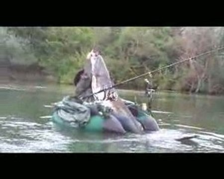 Silure en float tube de 2m10 Yann et Fred à Pont-à-Mousson