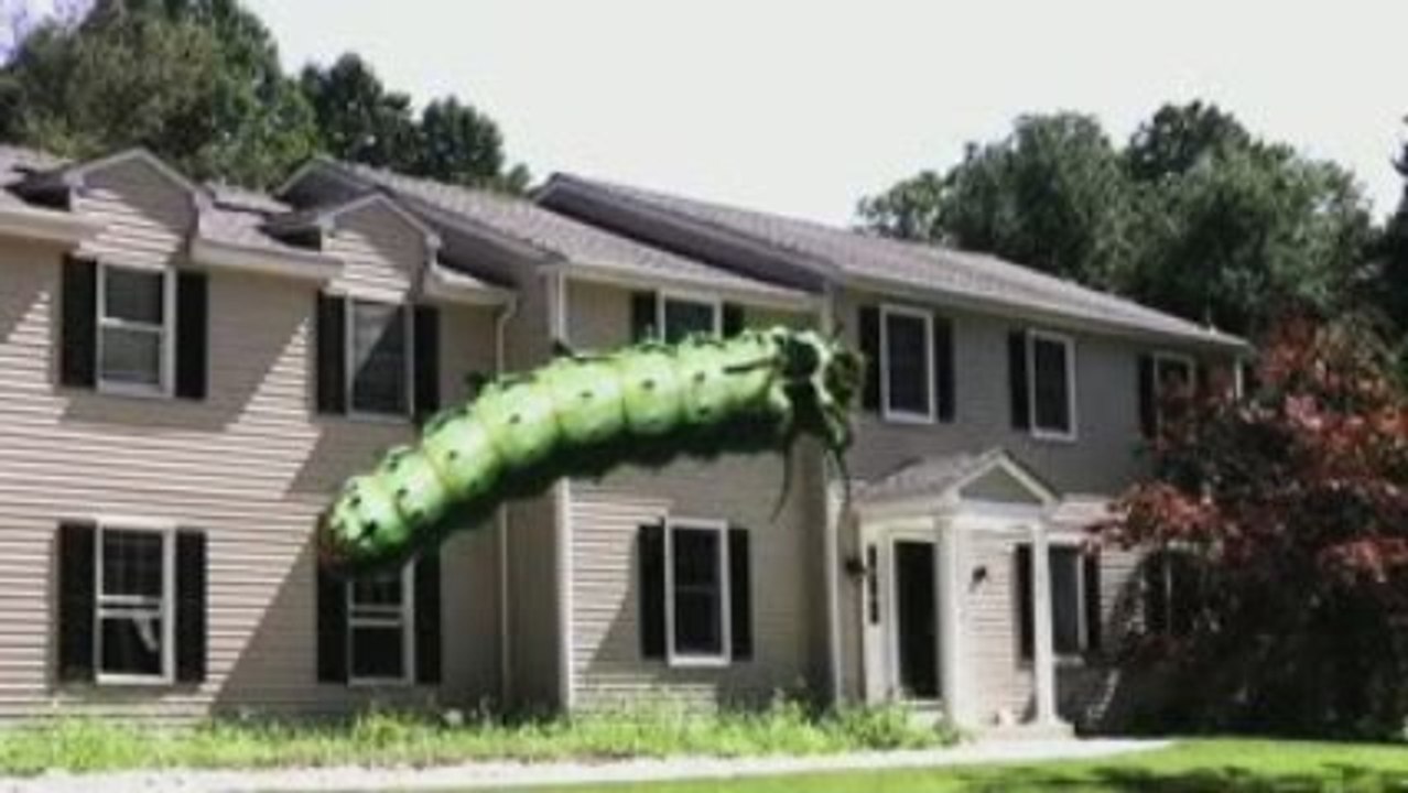 Giant Caterpillar