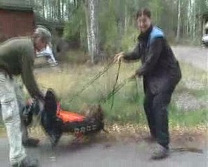 Tulikuuma Sade & Shakaali 3 months old females