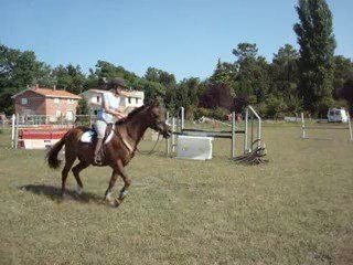 charly sans les renes 2