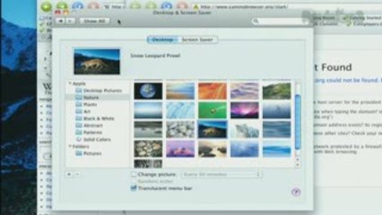 Snow Leopard Preview - Best Of...