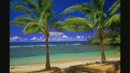 Hawaii Trip Basic