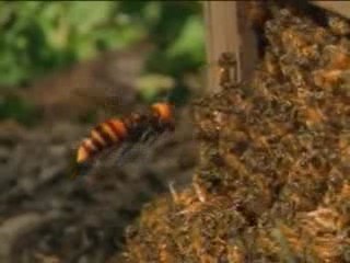 En Büyüleyici Anlar