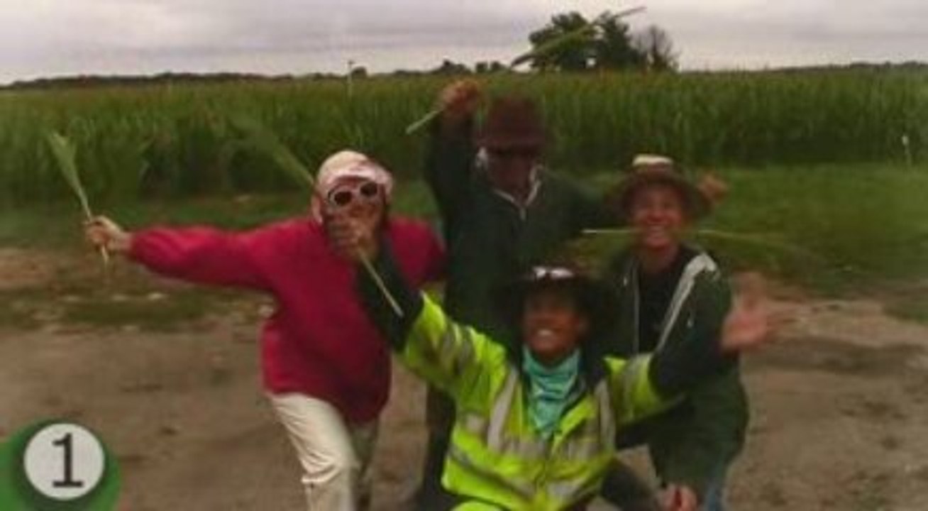 Les Castreurs