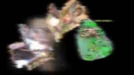 A movie which show Sri Lanka State Terrorism On Tamils