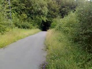 Gitane Testi Coursifiée