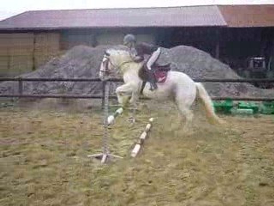 Flann séance obstacle 05/09/09