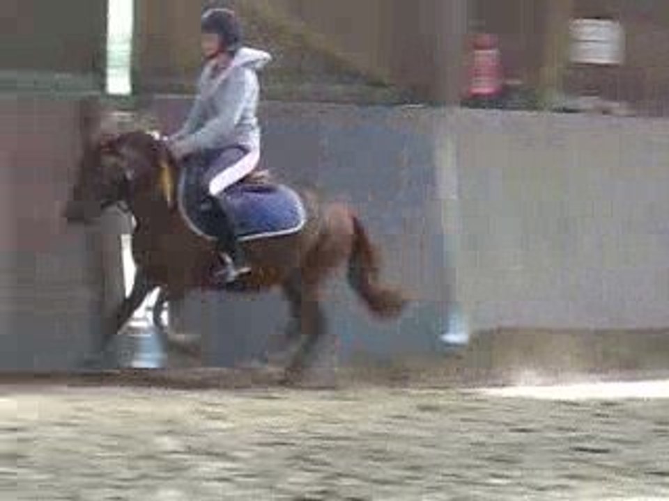 Reglisse &é moi