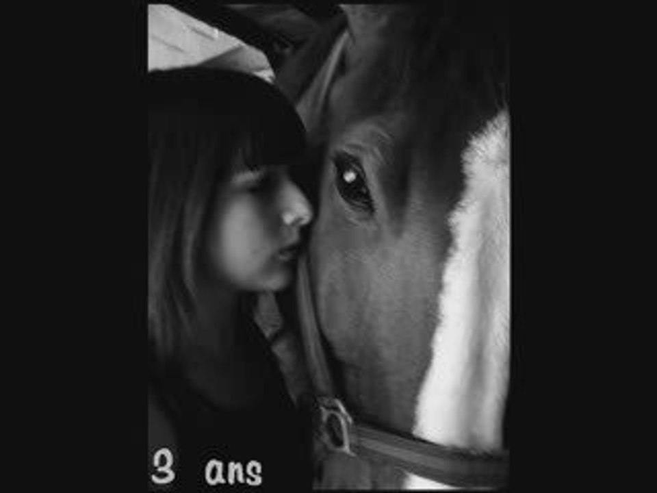 Oriental & moi 2009