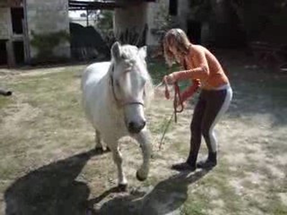 Tit Maj', poney de spectacle 2 =D