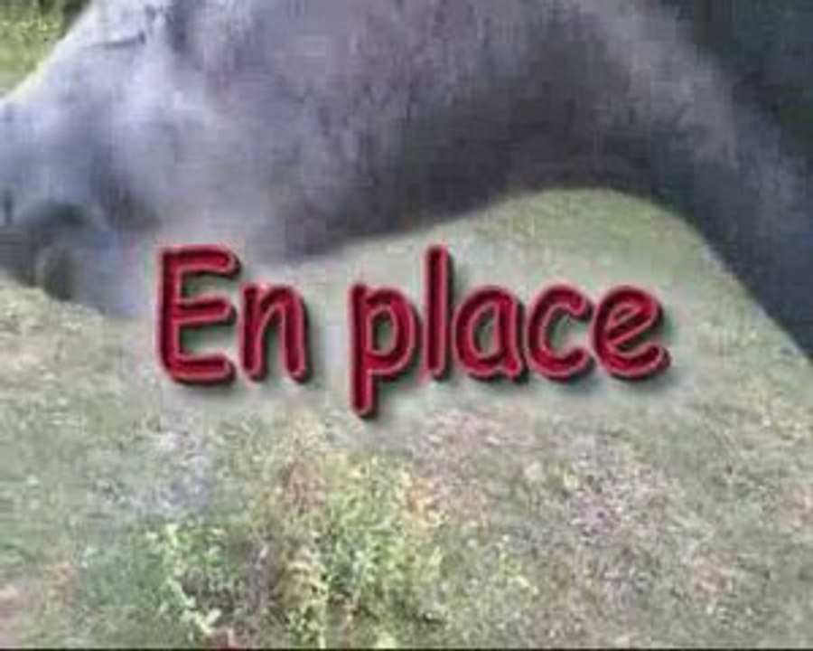 Mini Travail à pied