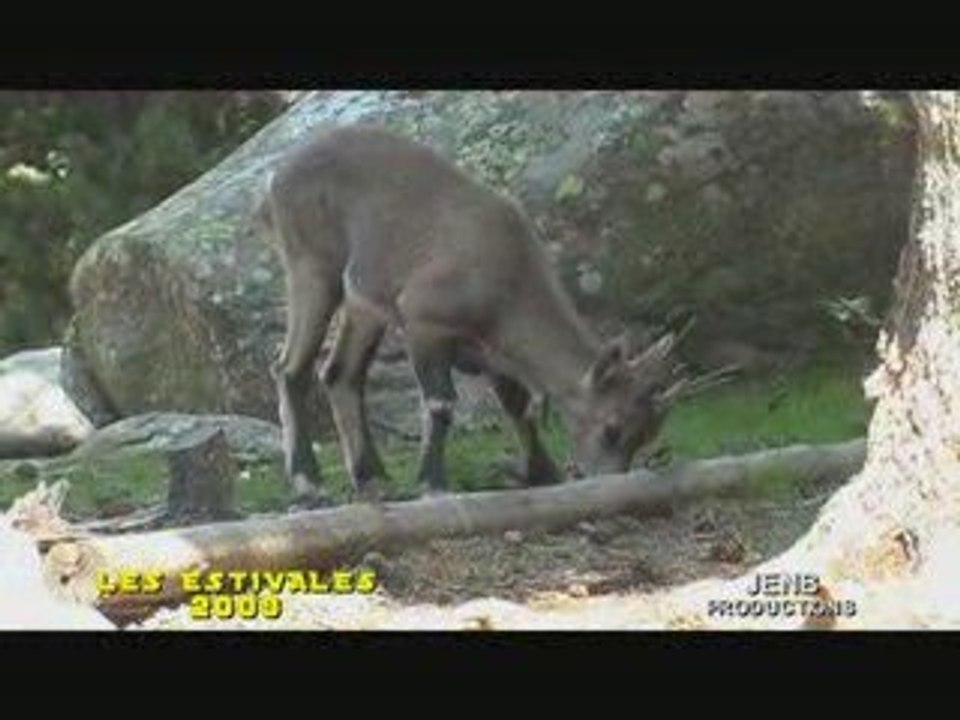 PARC ANIMALIER DES ANGLES PYRENEES-ORIENTALES
