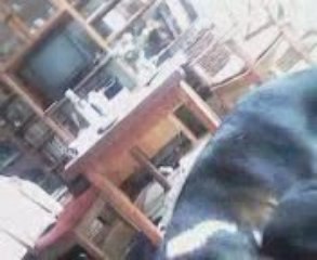 Ellio ,allez vien on joue