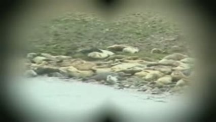 "Alaska Through the Eyes of a Child"