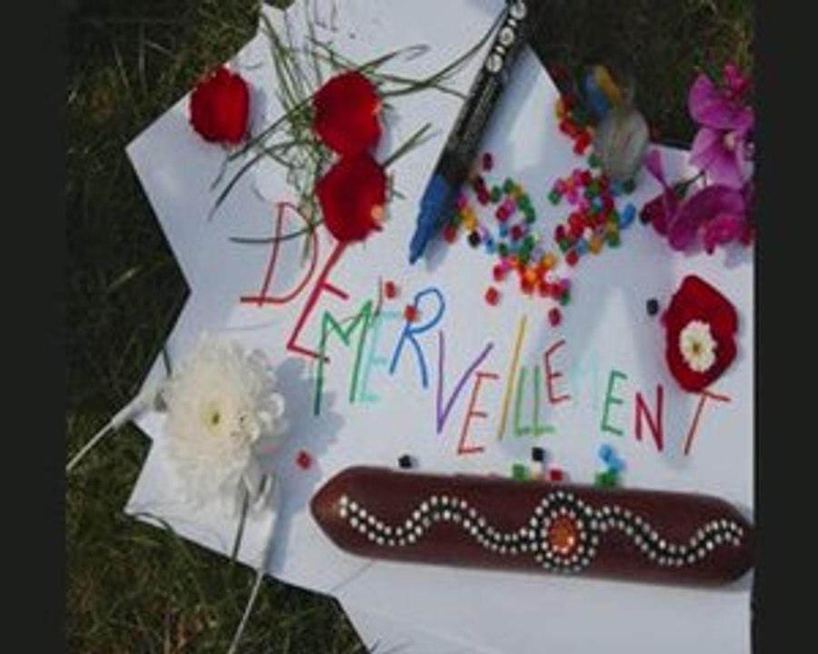 Mon blog : semerveiller.blogspot.fr