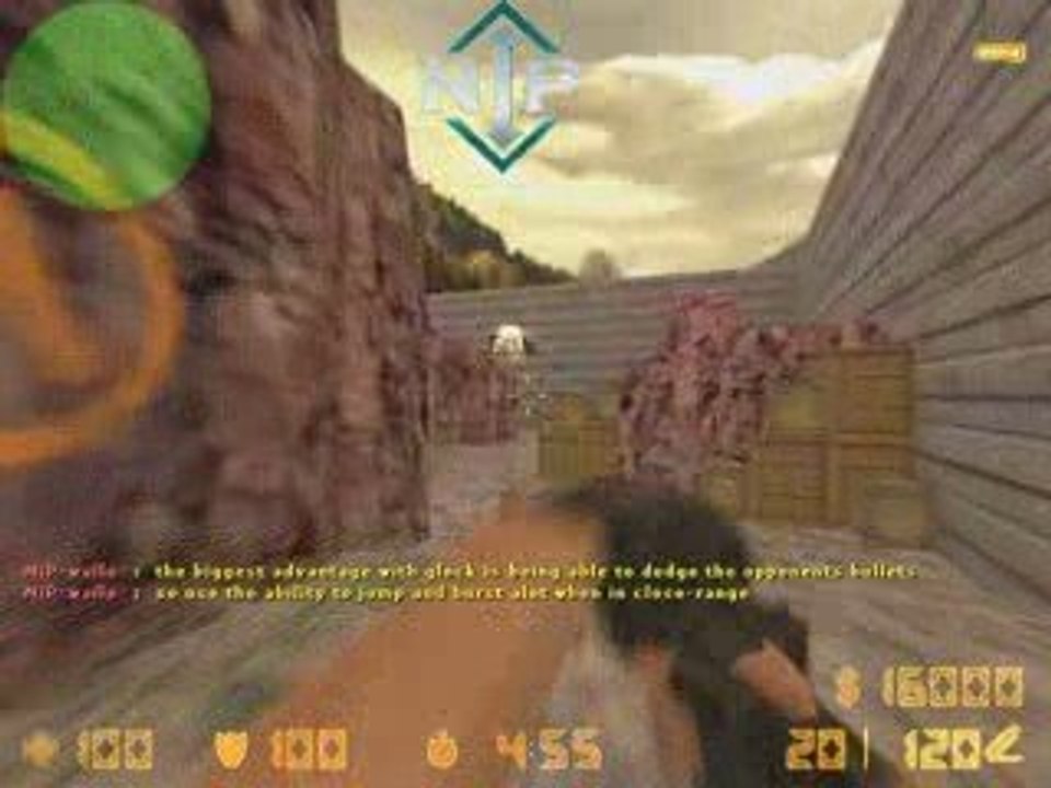 NiP - Walle Glock Guide