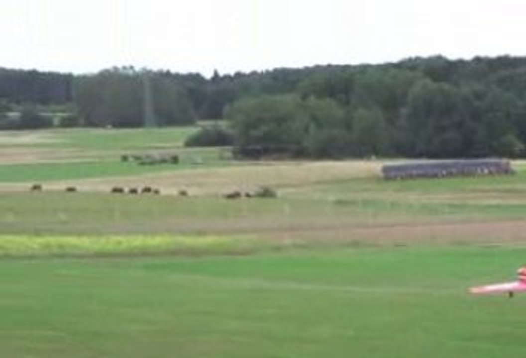 Erstflug Dago Red Mustang P 51