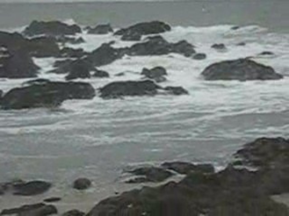 Côte sauvage à Port-Lin