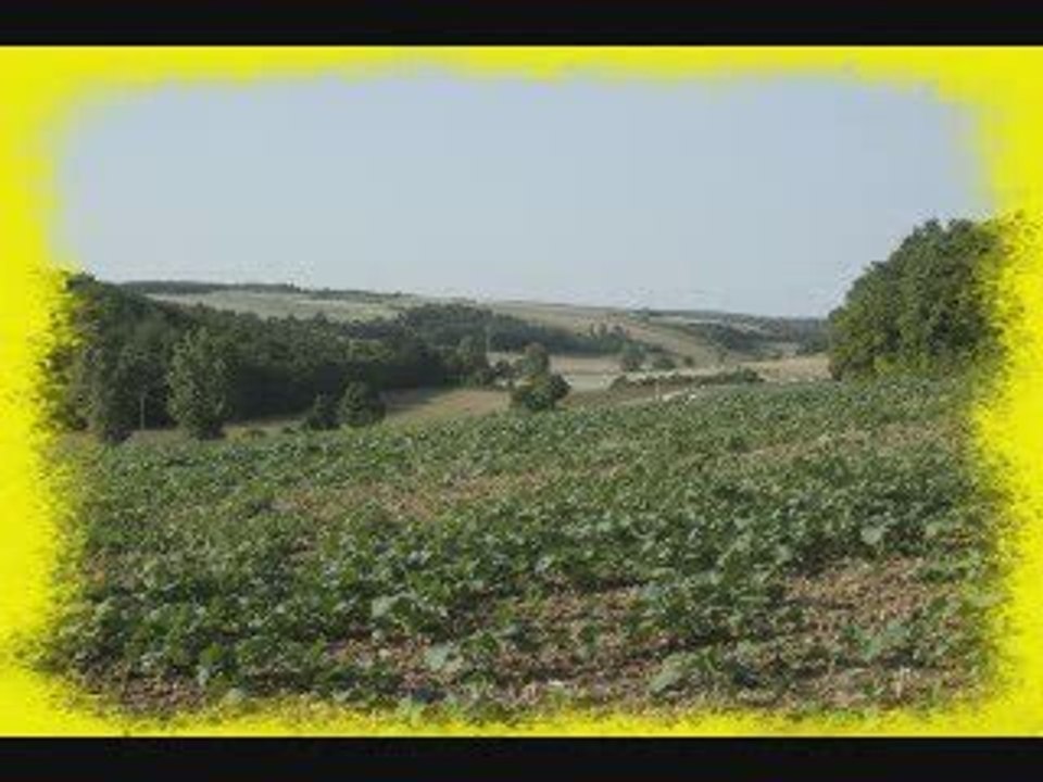 Balade à Migé