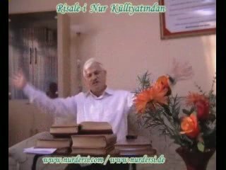 hasan abi(nurdersleri)tohum-çekirdek 2