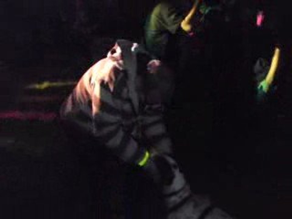 enimatek dfc slt rht vs otake