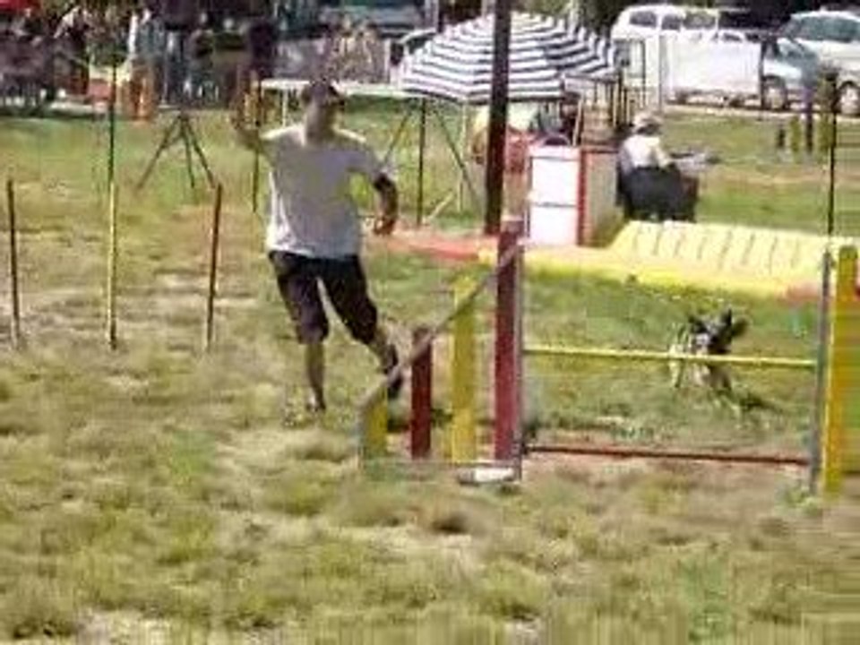 Brownie - Jumping St Mitre les Remparts 06-09-09