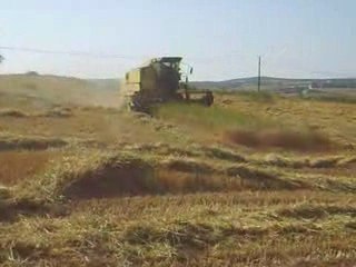 8080 ve 8060 Clayson Biçerdöverin 2009 Sezon Buğday Biçimi